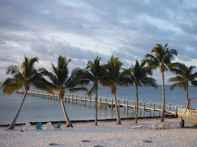 Sandee - Sugarloaf Beach