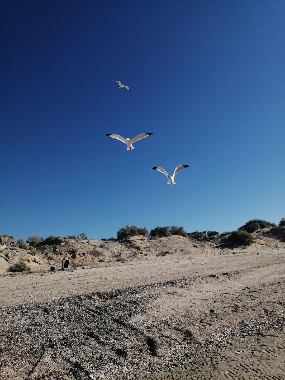 Sandee Black Mountain Beach