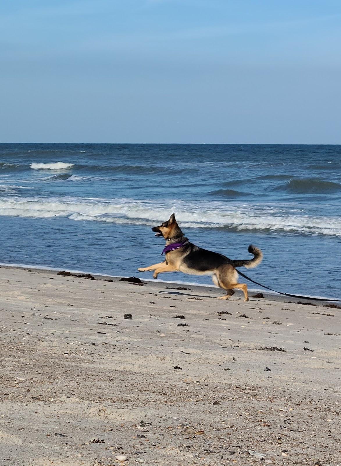 Sandee - Main Beach Park