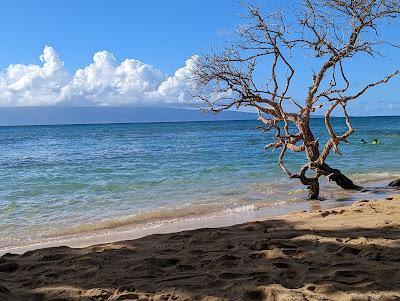 Sandee - Honokowai Beach Park