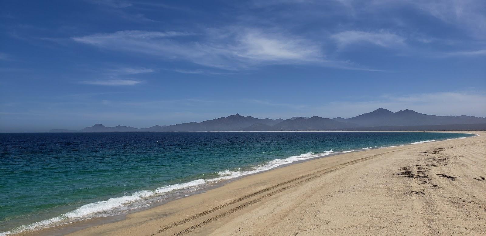 Sandee Playa Punta Arena Photo