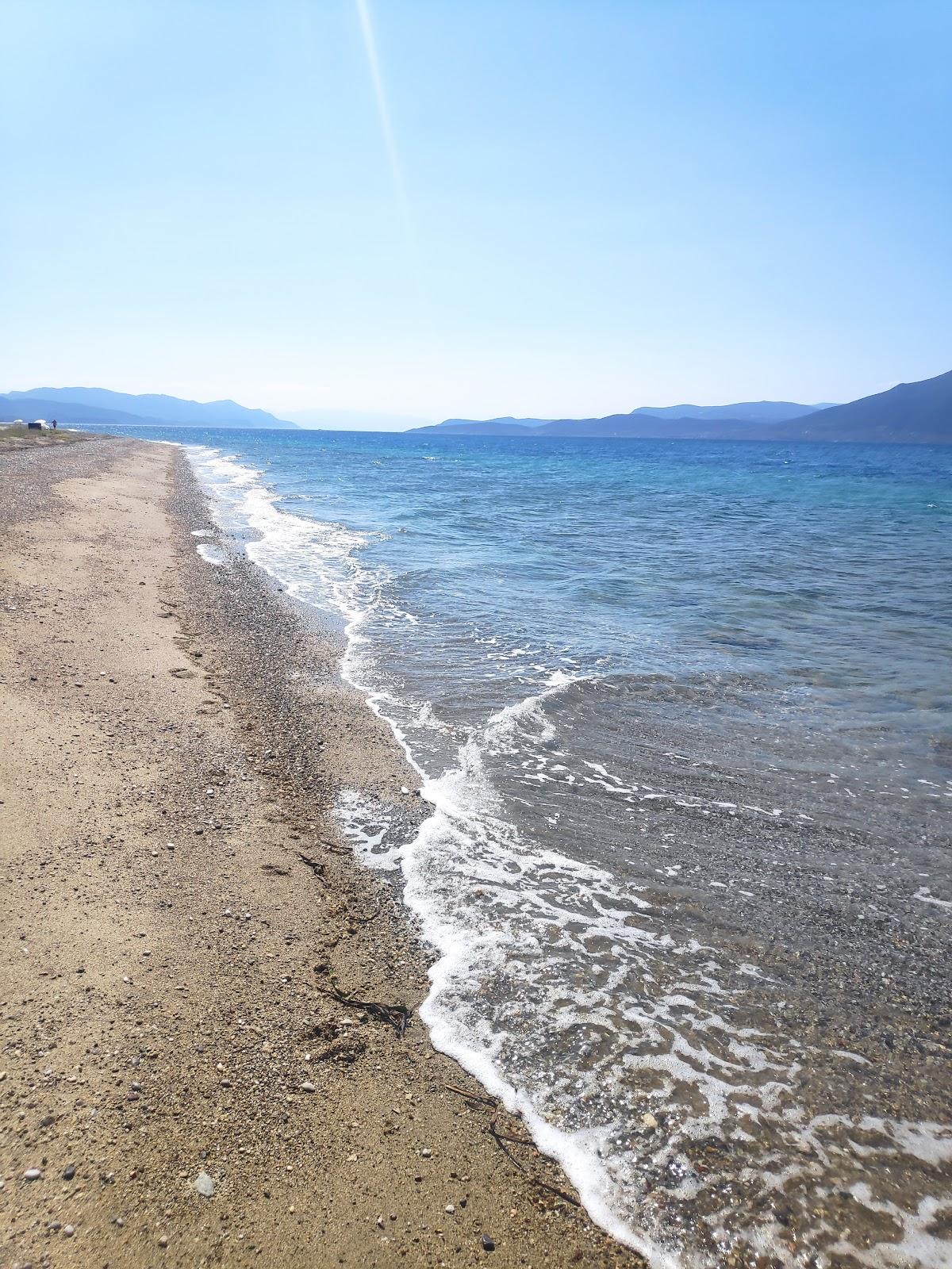 Sandee Tsokaiti Istiaia Beach
