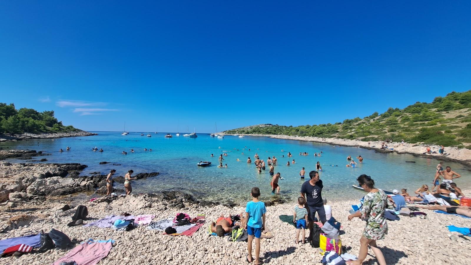 Sandee Levrnaka Beach Photo