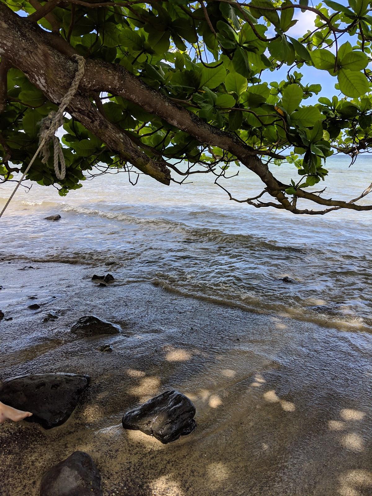 Sandee - Makaua Beach