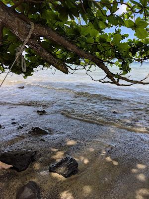 Sandee - Makaua Beach