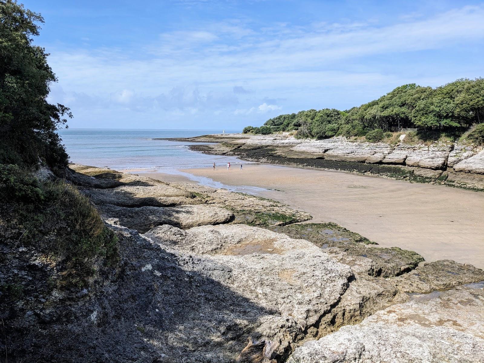 Sandee - Plage Du Conseil A Vaux-Sur-Mer