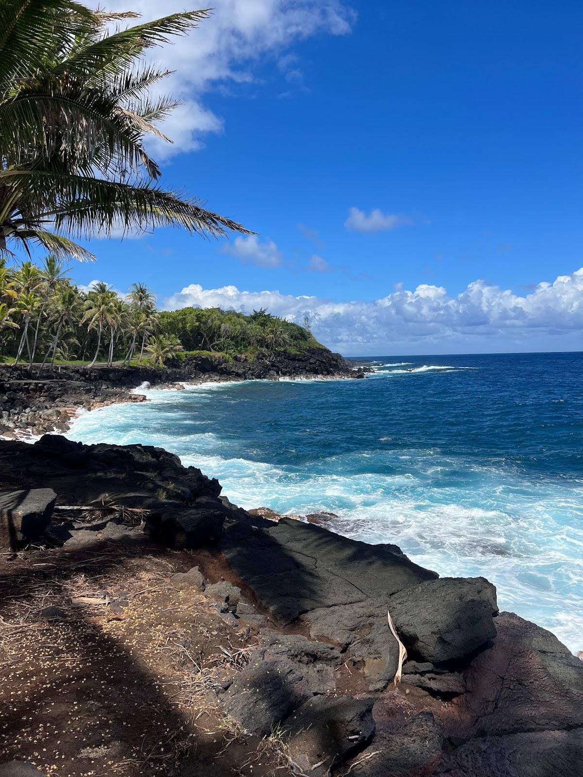 Sandee - Laupahoehoe Beach County Park