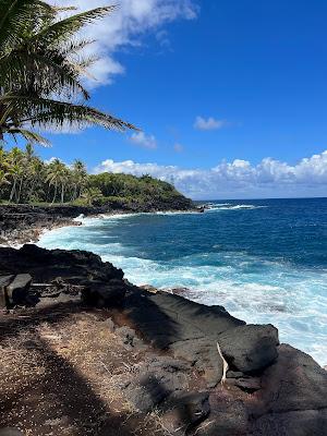 Sandee - Laupahoehoe Beach County Park