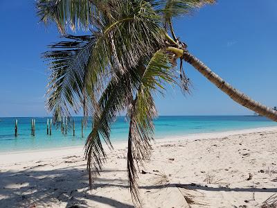 Sandee - Nicholls Town Beach