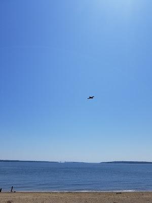 Sandee - Compass Rose Beach