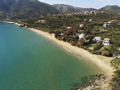 Sandee - Straws Beach