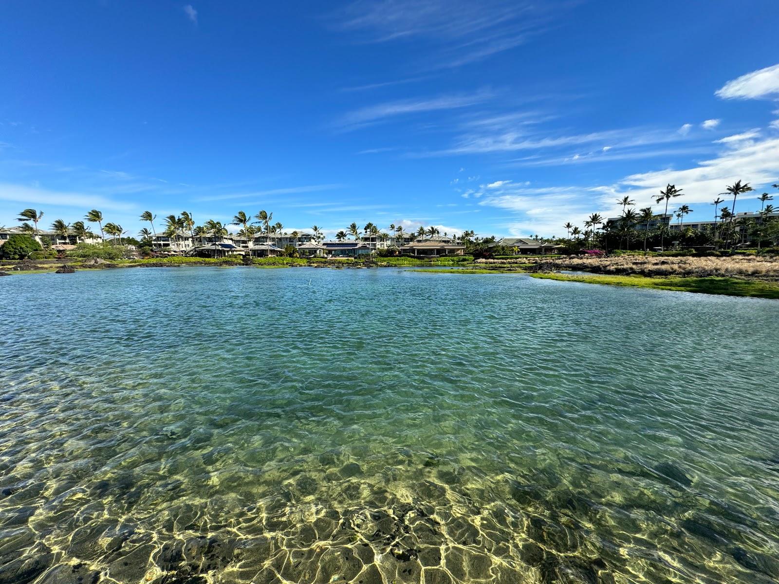 Sandee - Anaehoomalu Beach