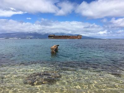 Sandee - Shipwreck Beach