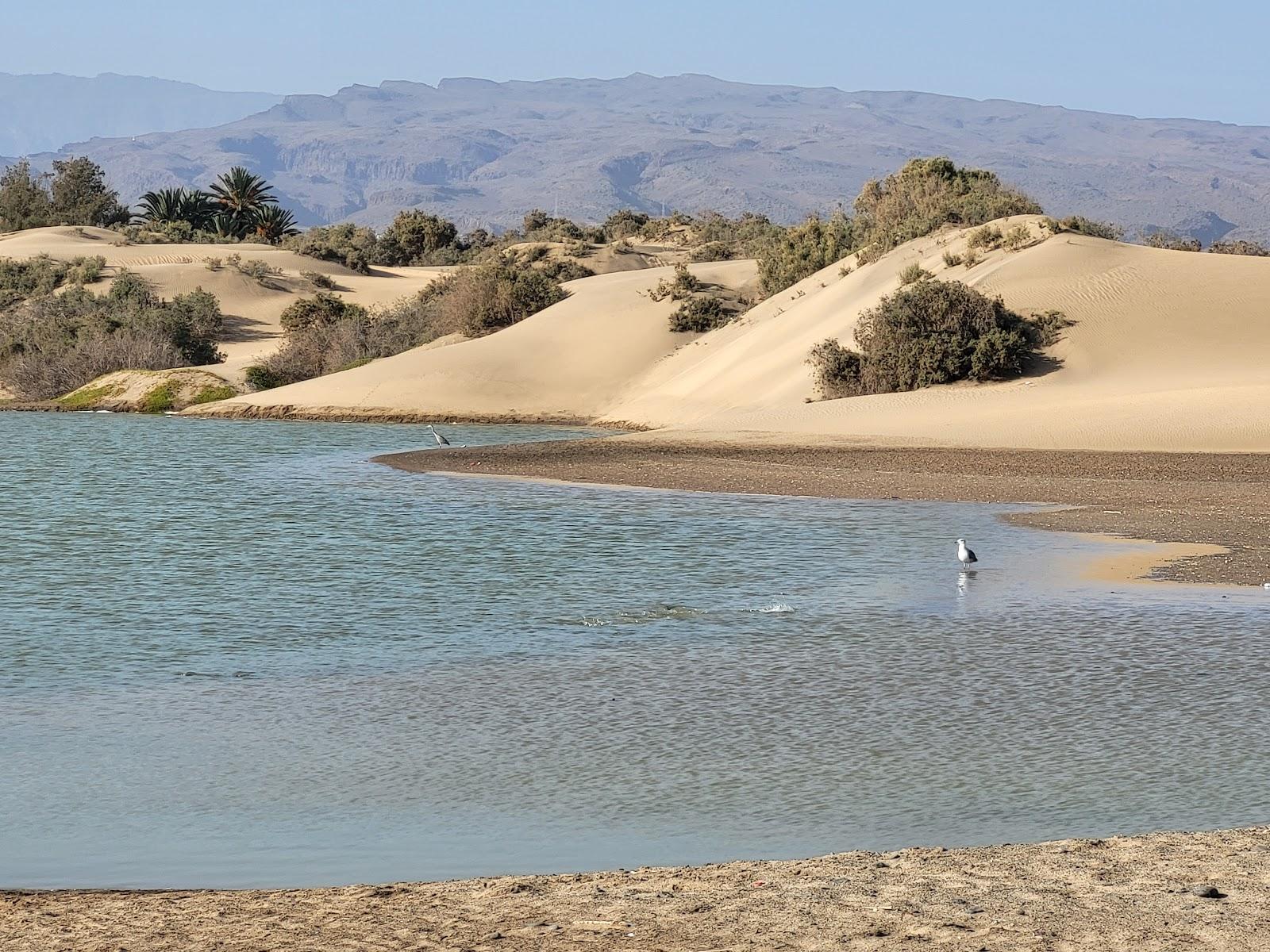 Sandee - Playa De Maspalomas