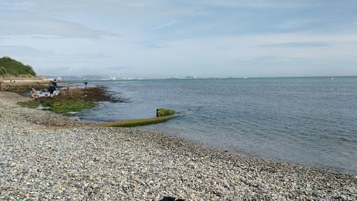 Sandee - Newtons Cove Beach