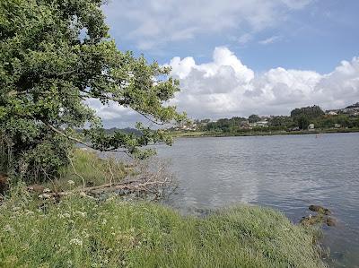 Sandee - Fluvial Do Gramido Beach