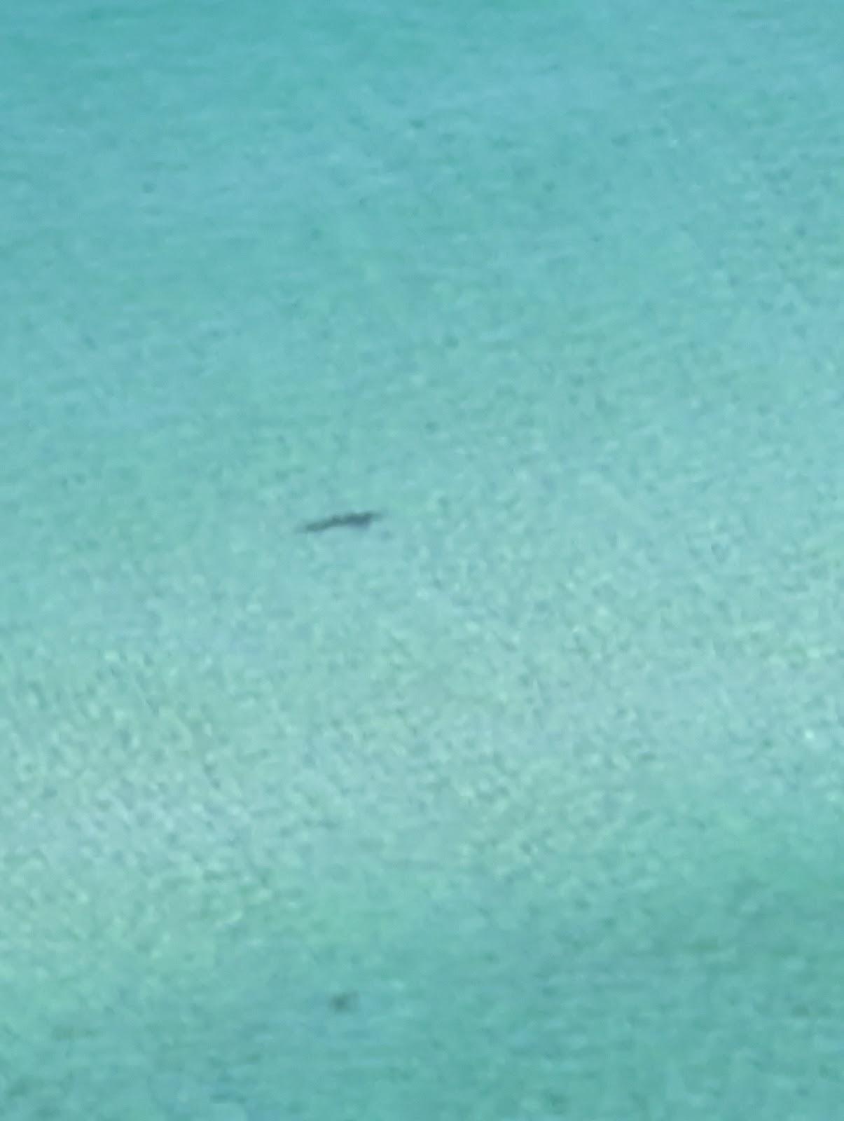 Sandee Otm Beach Spot One