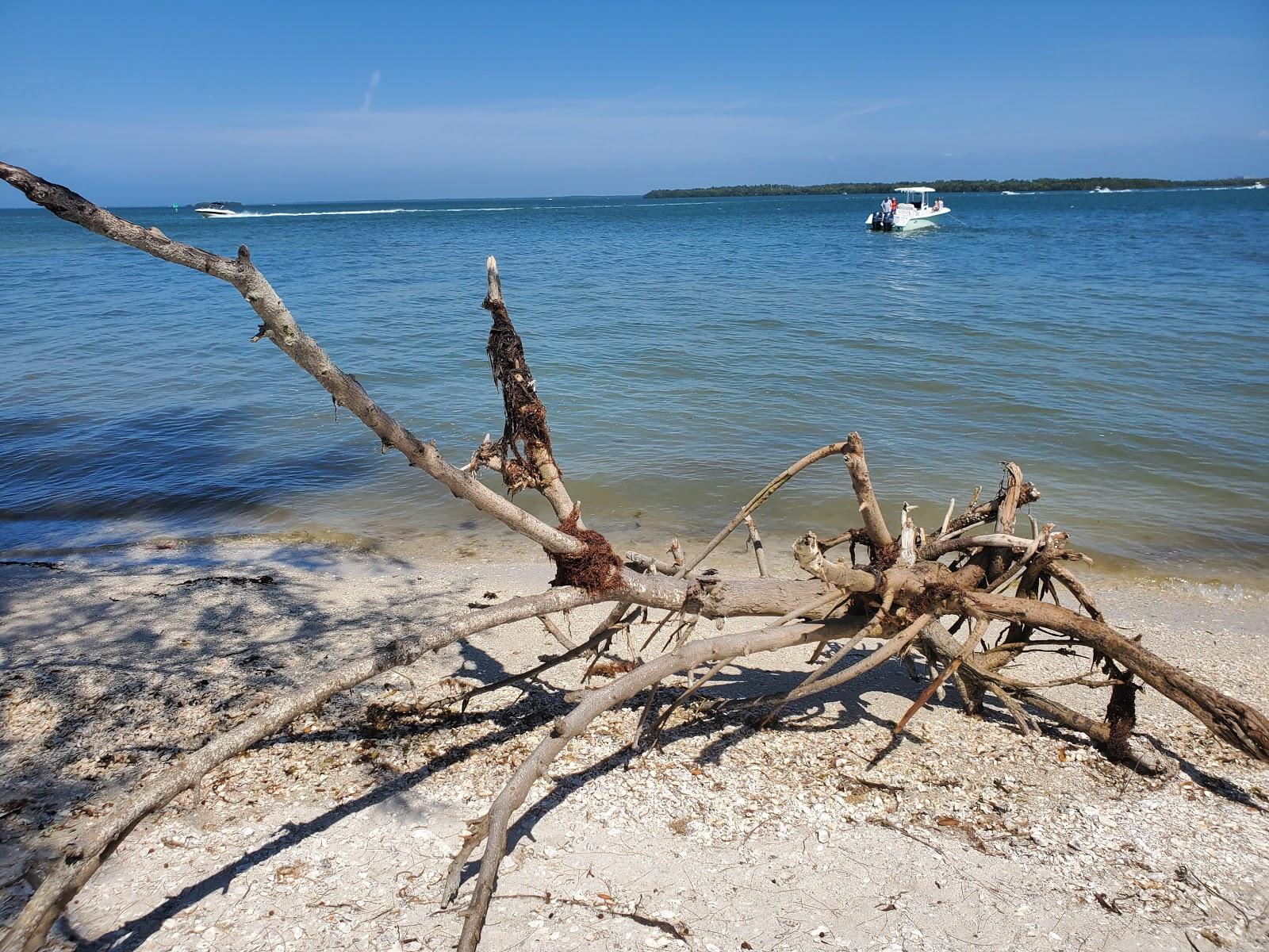 Sandee - Picnic Island Beach