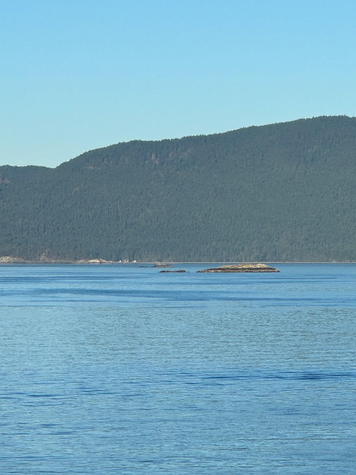 Sandee Armitage Island