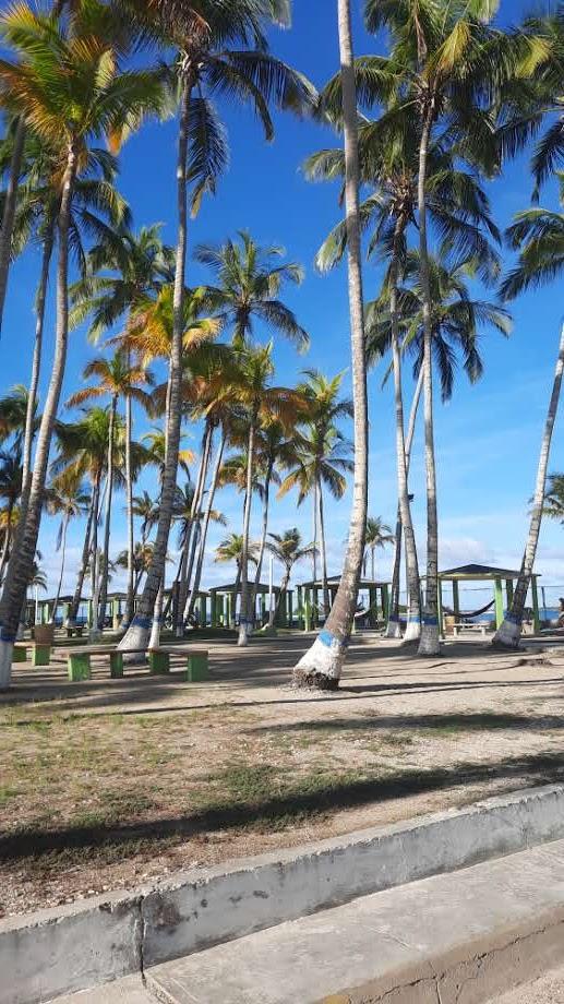 Sandee Playa Crpu/Latino