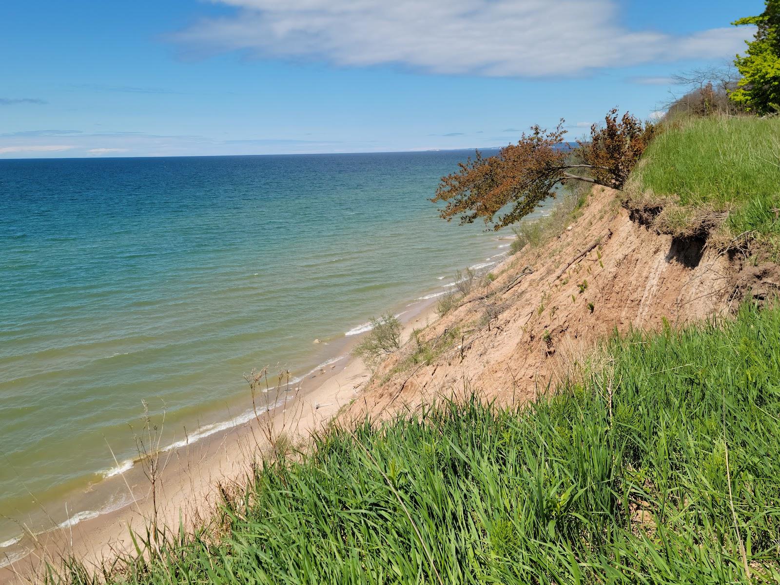Sandee Public Shoreline Beach State Forest Matrix Point