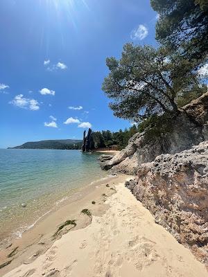 Sandee - Praia De Albarquel