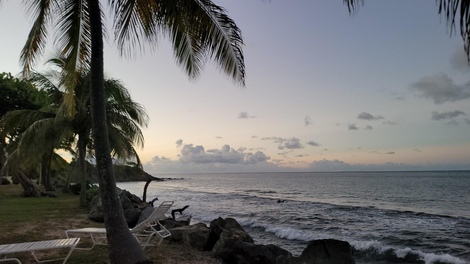 Sandee Tamarind Reef Beach