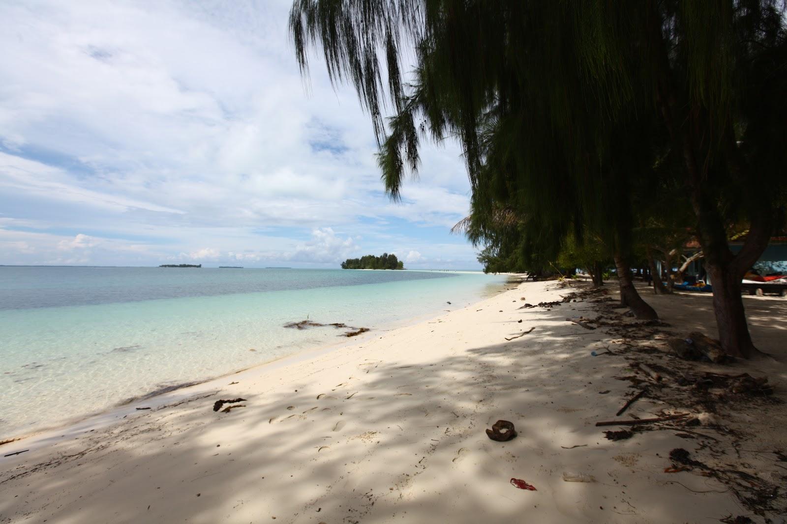 Sandee Dodola Seaport And Beach