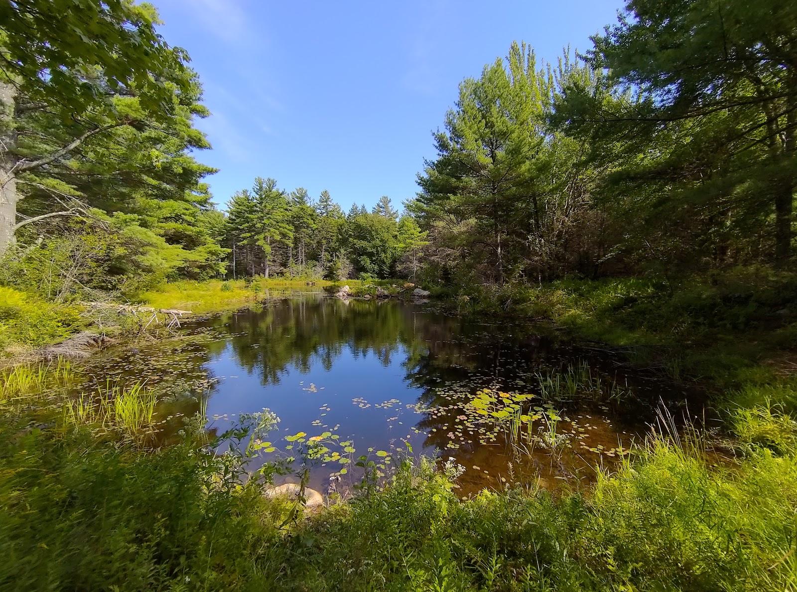 Sandee Mass Audubon's Lake Wampanoag Wildlife Sanctuary Photo