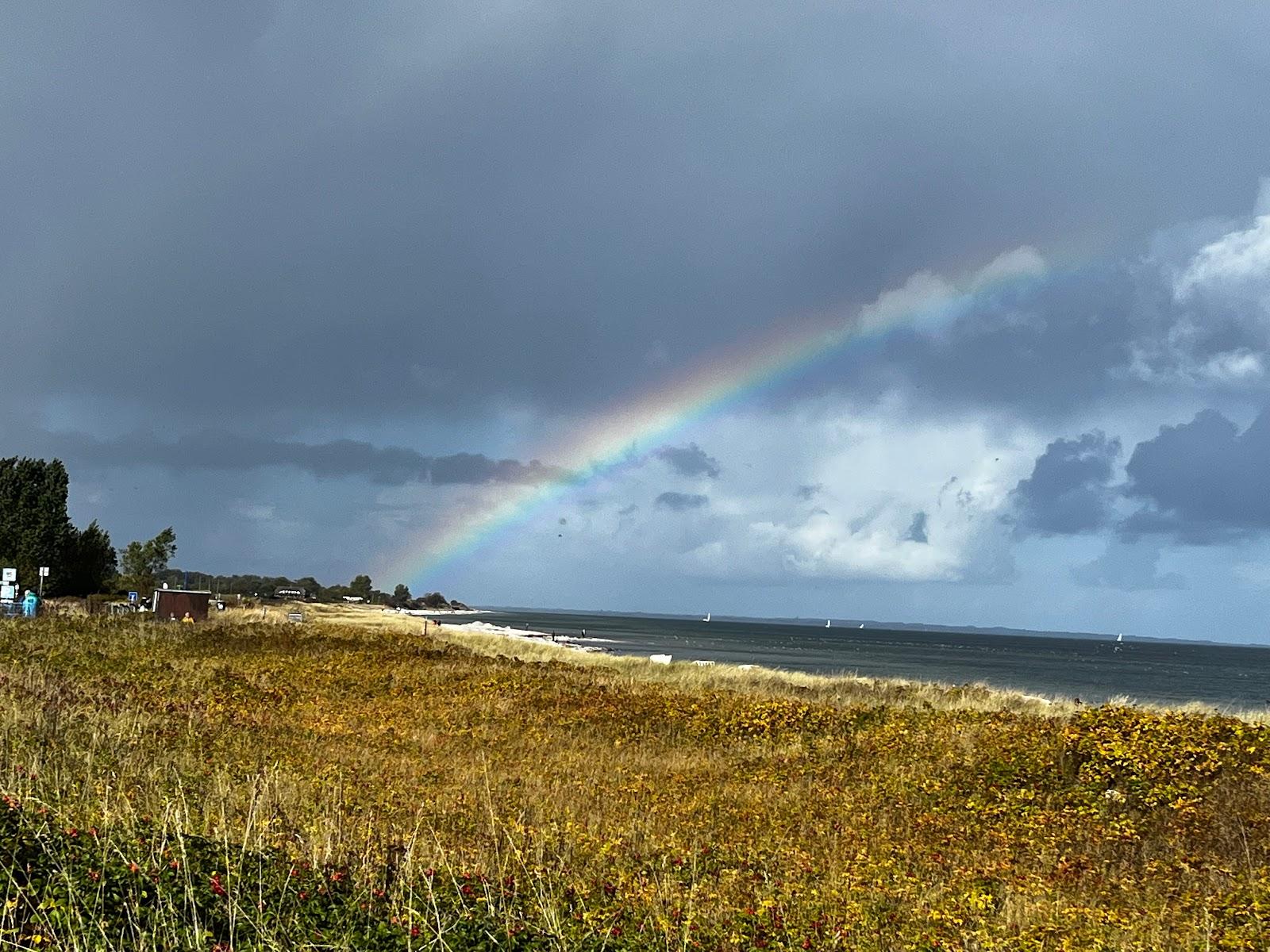 Sandee Kronsgaarder Hundestrand