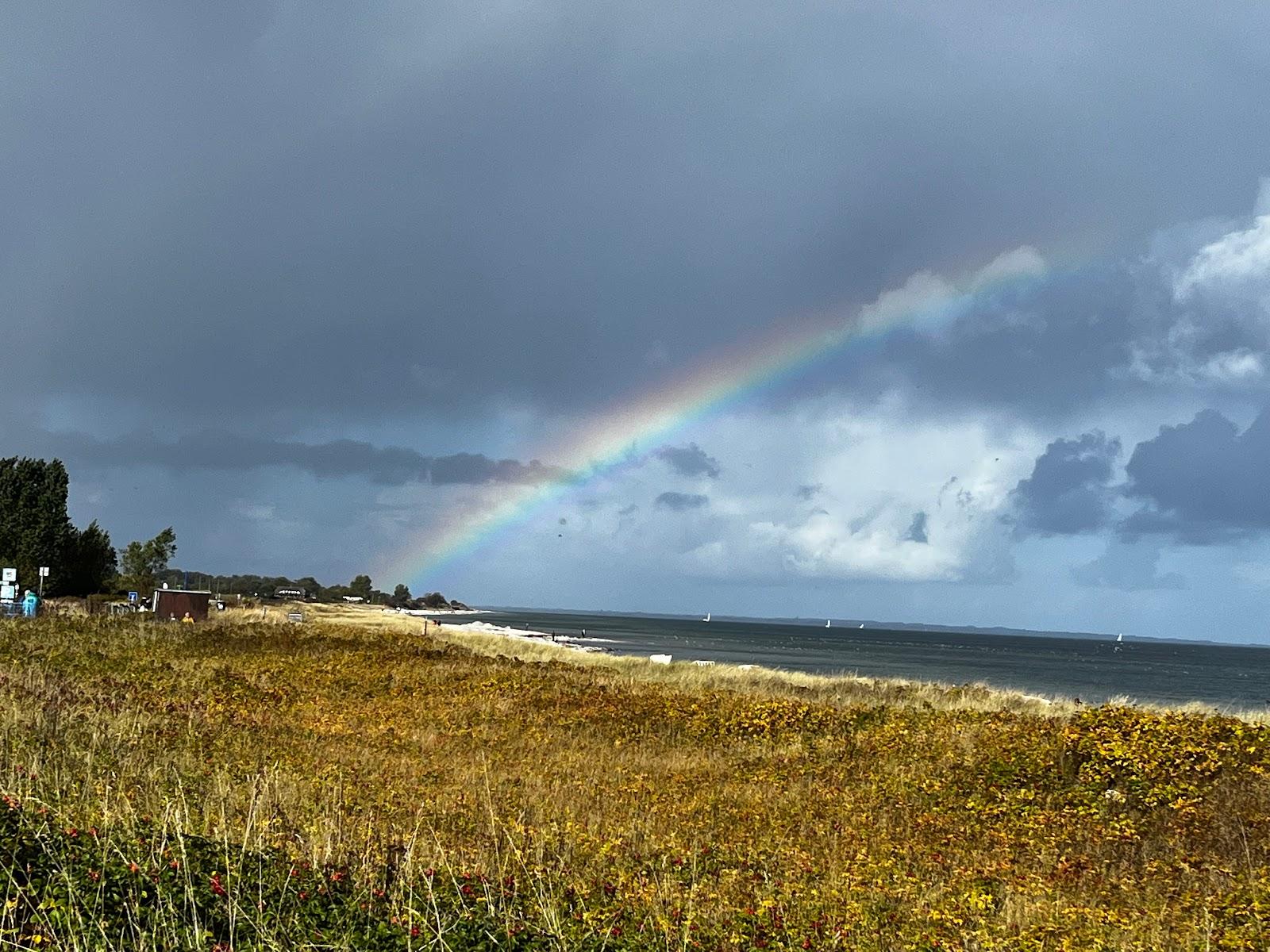 Sandee Kronsgaarder Hundestrand Photo