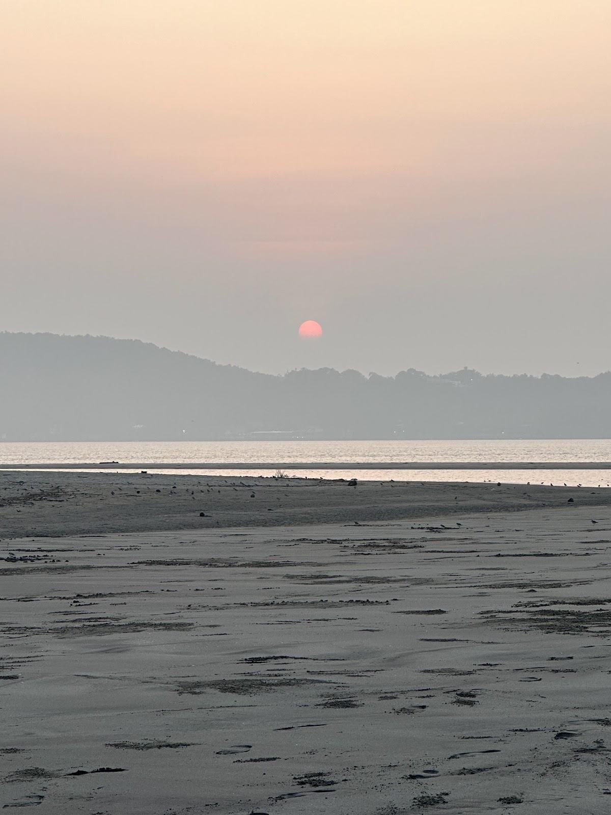 Sandee Tortoise Beach Morjim Photo