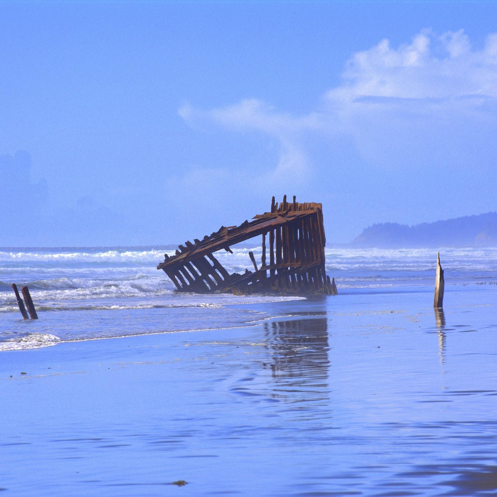 Sandee - Wreck Of The Peter Iredale