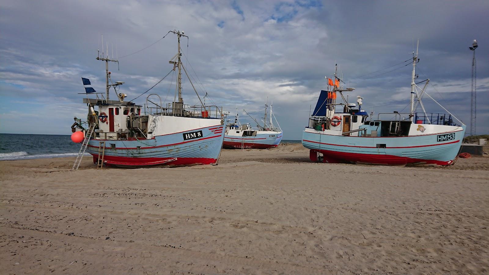 Sandee Torup Strand
