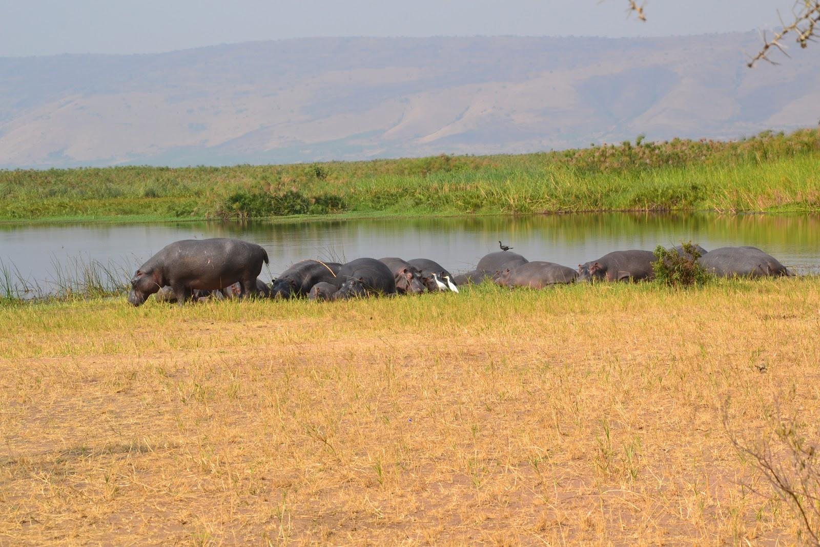 Sandee - Lake Mihindi