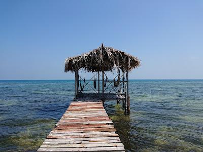 Sandee - Billy Hawk Caye