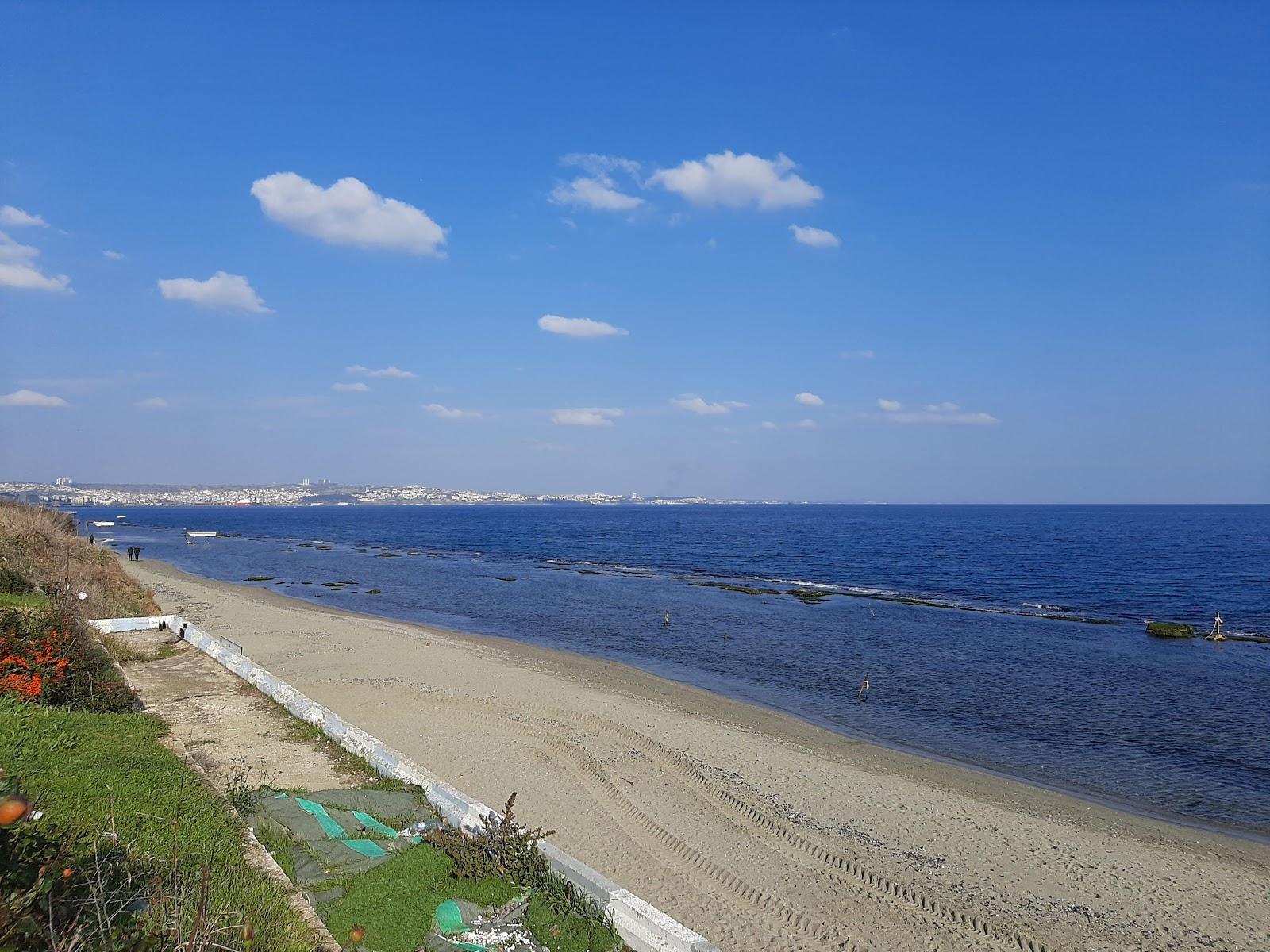 Sandee Sunny Beach Topagac