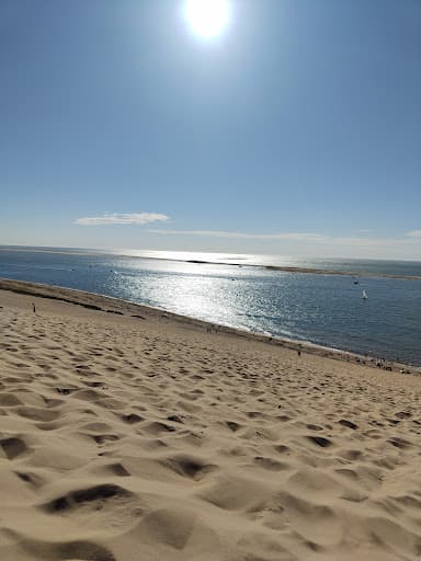 Sandee Dune Of Pilat Photo