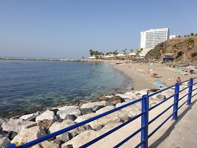 Sandee - Playa De Torrevigia