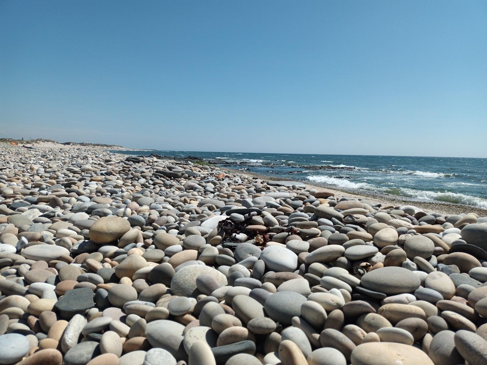 Sandee Praia De Cepaes