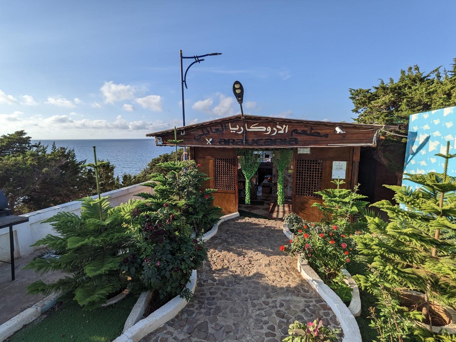 Sandee Wadi El Melh Beach
