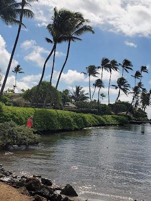 Sandee - Wailupe Beach Park