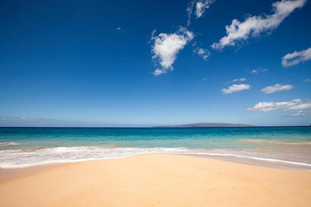 Sandee - Sao Jacinto Beach