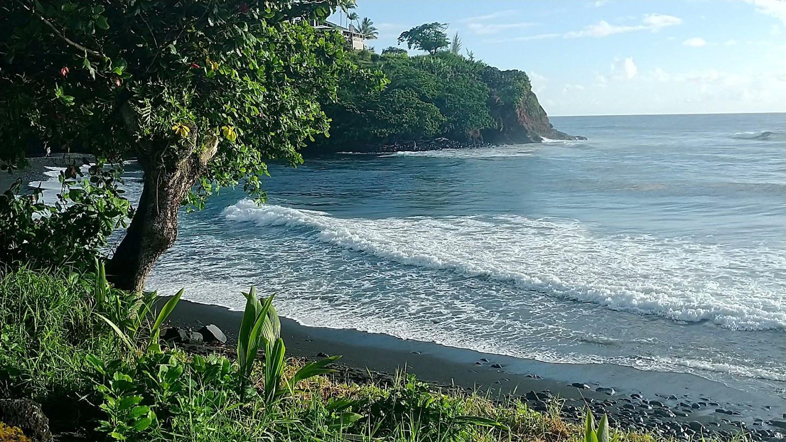 Sandee - Honoli'I Beach Park