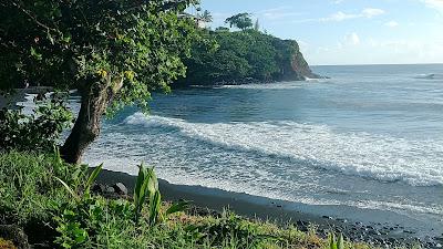 Sandee - Honoli'I Beach Park