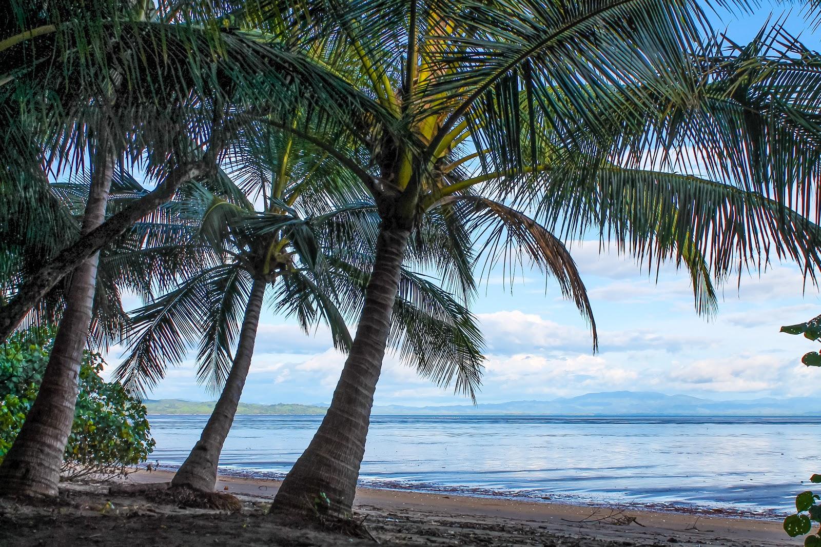Sandee Lagartero Beach