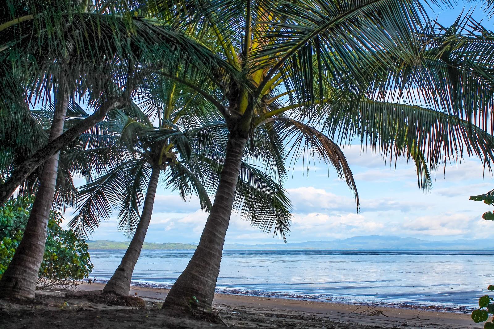 Sandee Lagartero Beach Photo