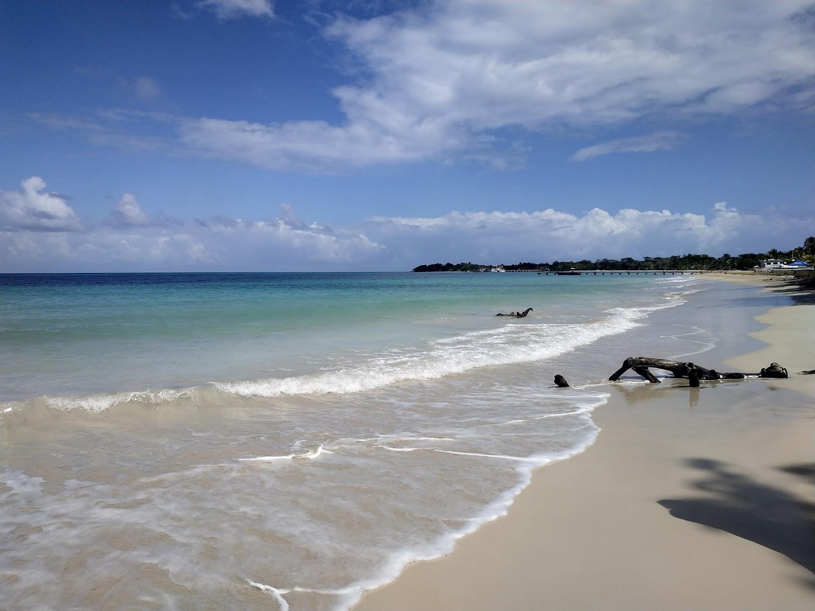 Sandee Arenas Beach