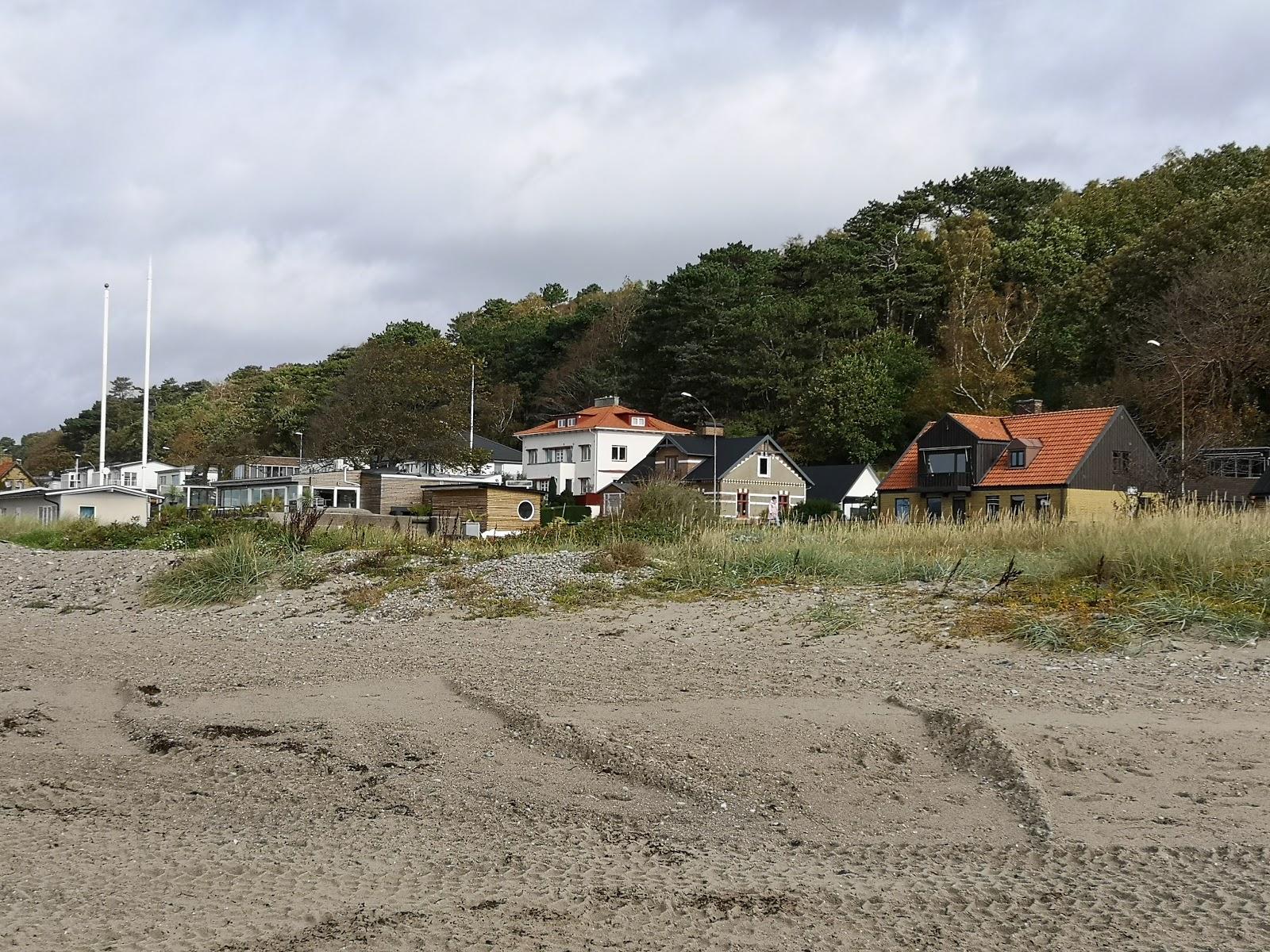 Sandee Vikingstrand