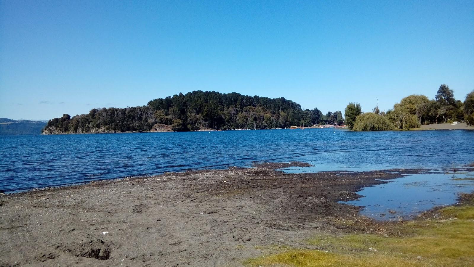 Sandee Playa Foresta
